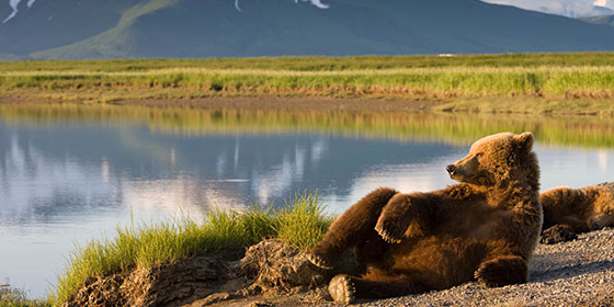 Alaska