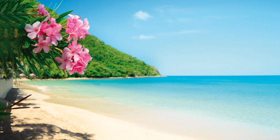 Silver Moon Hawaii