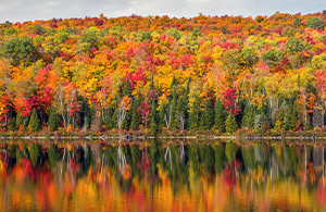 Indian Summer