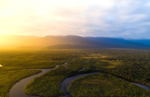 Amazonas