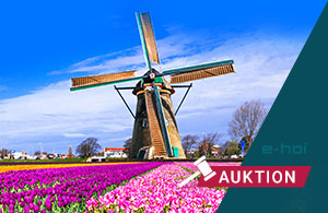 Auktion