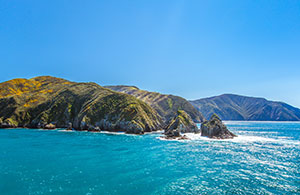 Picton
